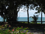 View from front porch